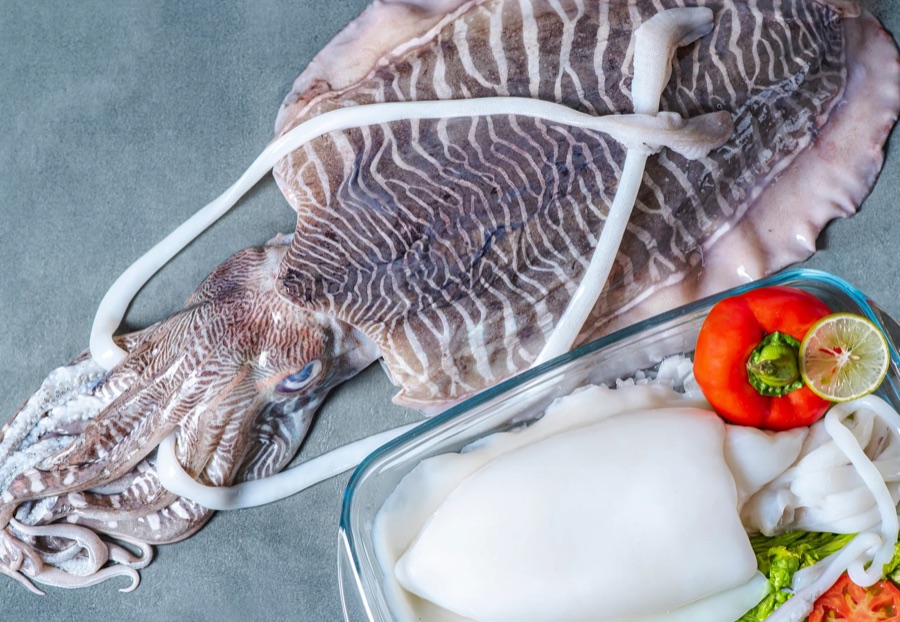 Cuttlefish, whole and cleaned