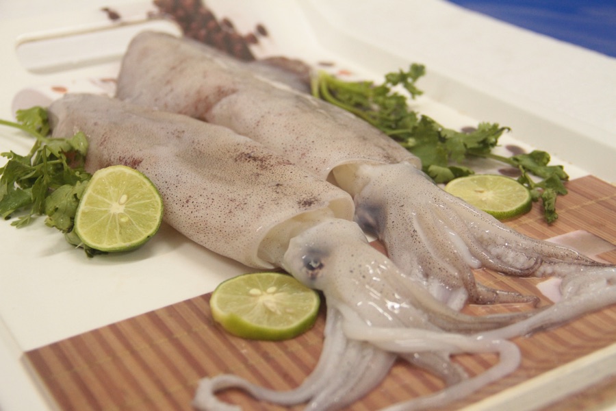 Whole loligo squid