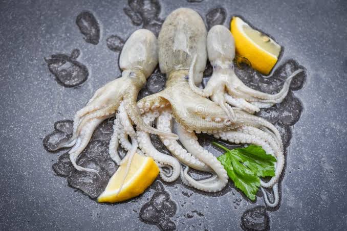 Octopus